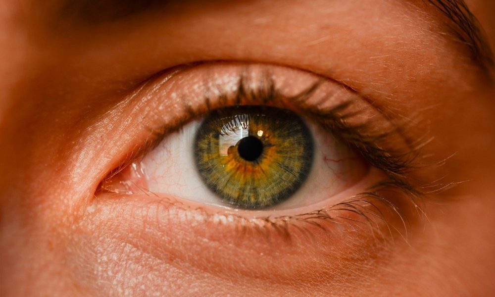 Oczy to wyrafinowany organ. To otóż to dzięki nim rozróżniamy.